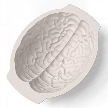 Форма силиконовая Мозг большой