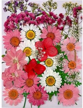 Букет цветов сушеных прессованных Розовая весна
